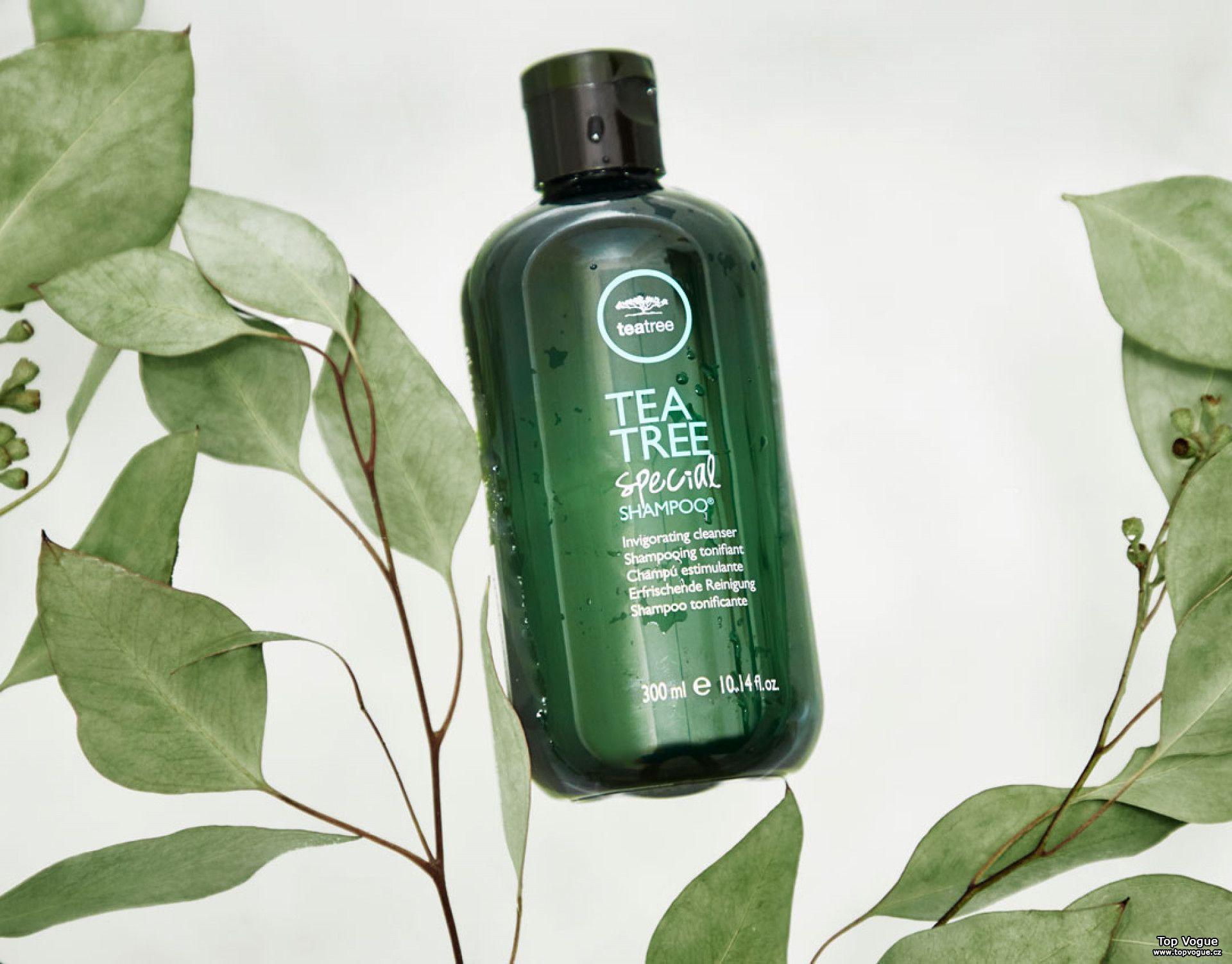 Шампунь paul. Tea Tree шампунь Paul Mitchell. Paul Mitchell/Paul Mitchell шампунь с маслом чайного дерева Tea Tree Special Shampoo ,300 мл. Шампунь Tea Tree с чайным деревом. Лечебные шампуни с маслом чайного дерева.